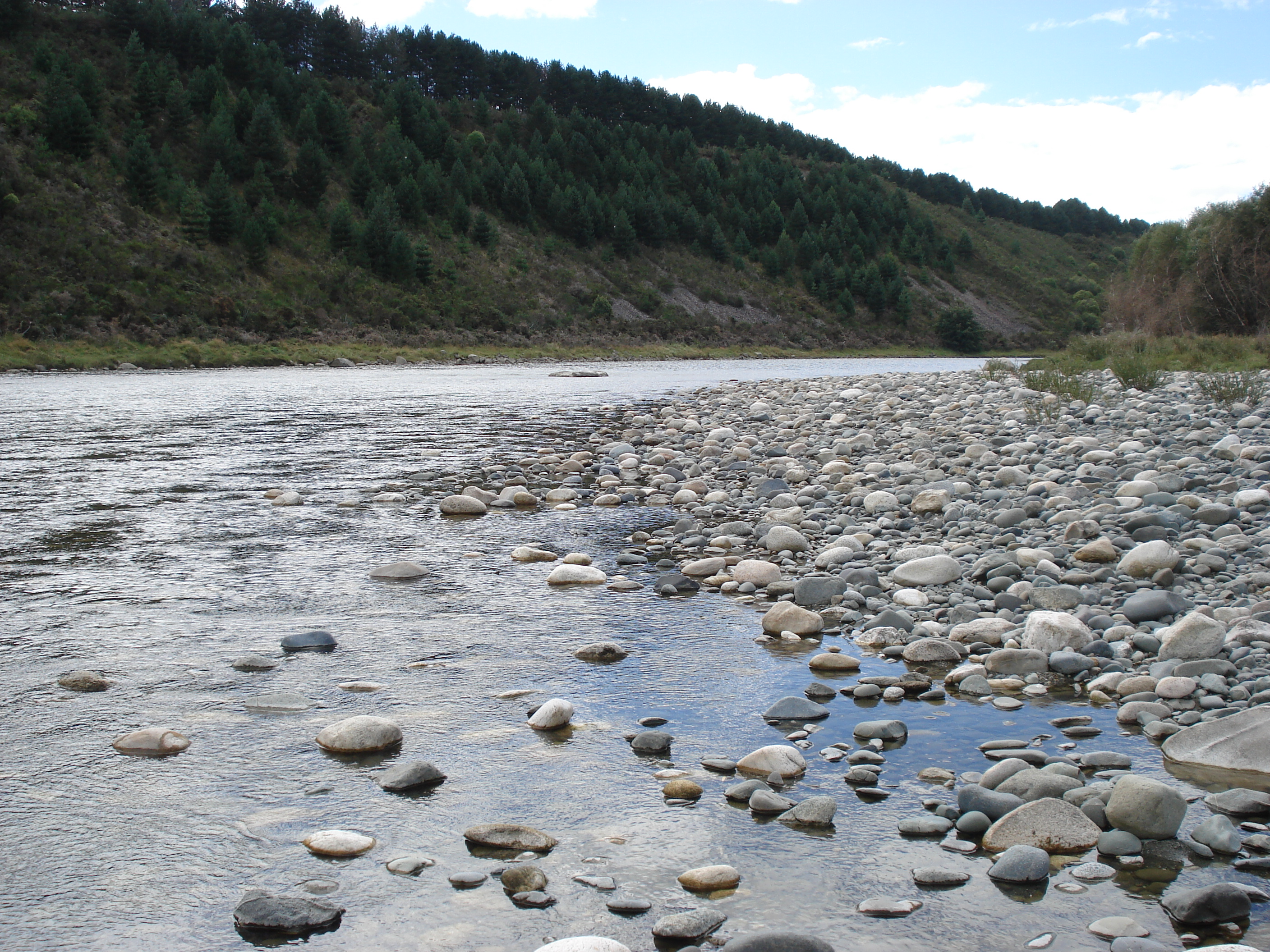 Lower Waiau River Clean