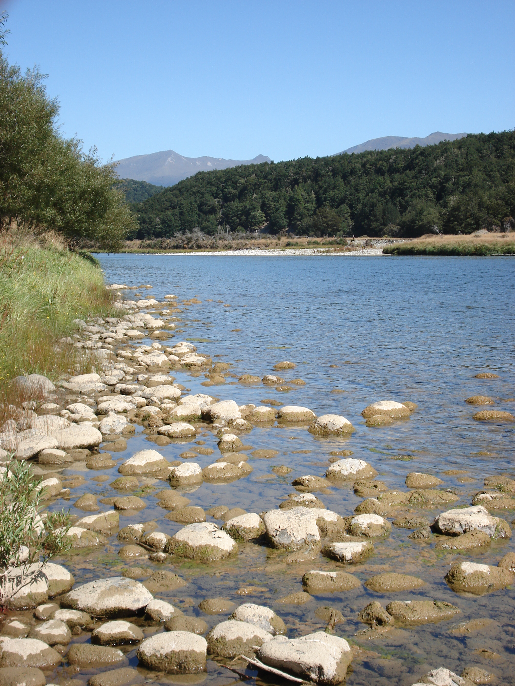 Lower Waiau River Didymo