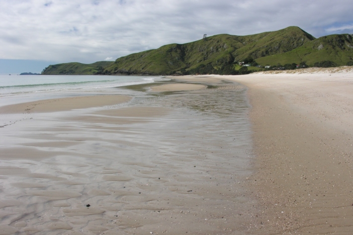 New Zealand beach