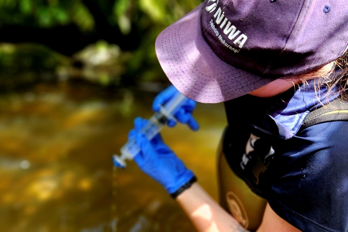 Rebecca Booth, NIWA Freshwater Ecology Technician, conducting eDNA sampling in a West Coast stream.