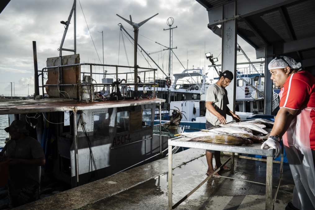 Catch sampling at Tui’matamoana Wharf, Tongatapu, Tonga [NIWA / Rebekah Parsons-King].