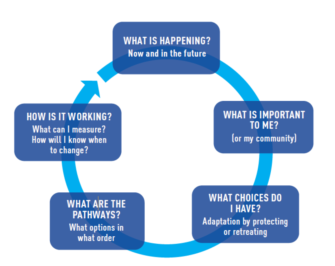 Infographic: pathways planning