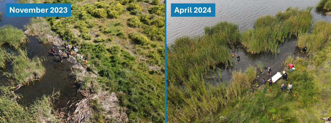 LakeTahaaroa_2023vs2024