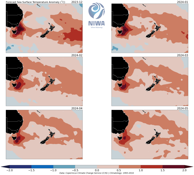 SST Maps Dec 2023 - May 2024