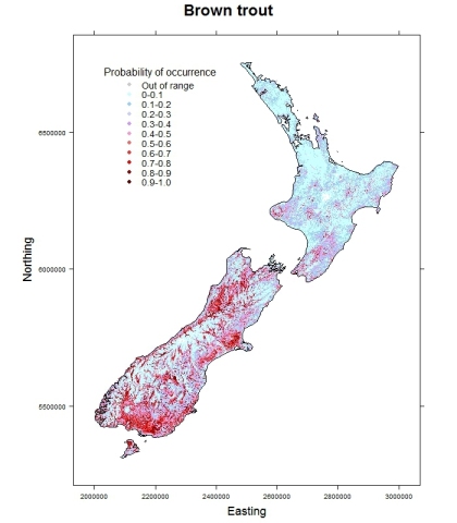 Brown_trout_Salmo trutta_distribution_predicted [NIWA]