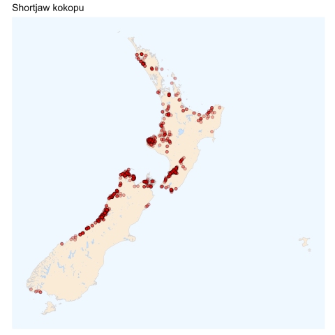 Shortjaw kokopu distribution map [2024]