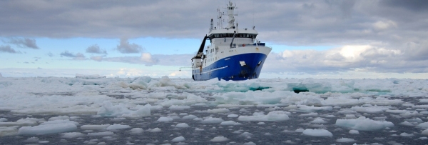 RV Tangaroa steams through the sea ice in Antarctica