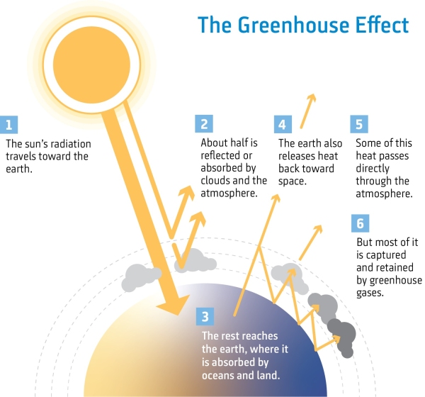 The Greenhouse Effect infographic