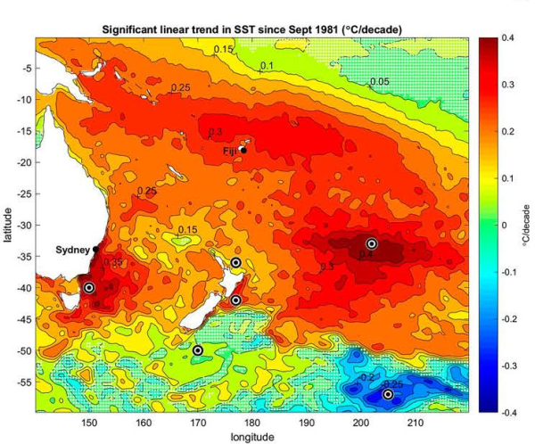 Sea surface temperature trend 1981-2018