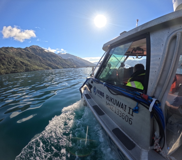 Lake Wanaka mapping