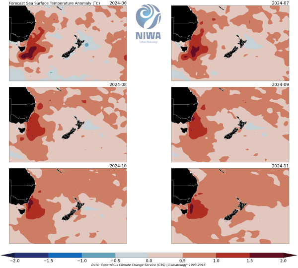 nz_sst_panel - June November