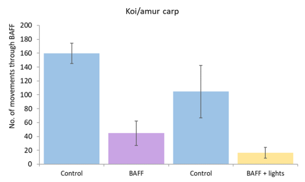 Number of movements through control trials and treatments (BAFF with and without lights) for koi/amur carp. 