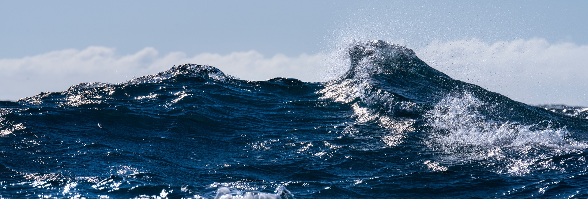 wave banner image