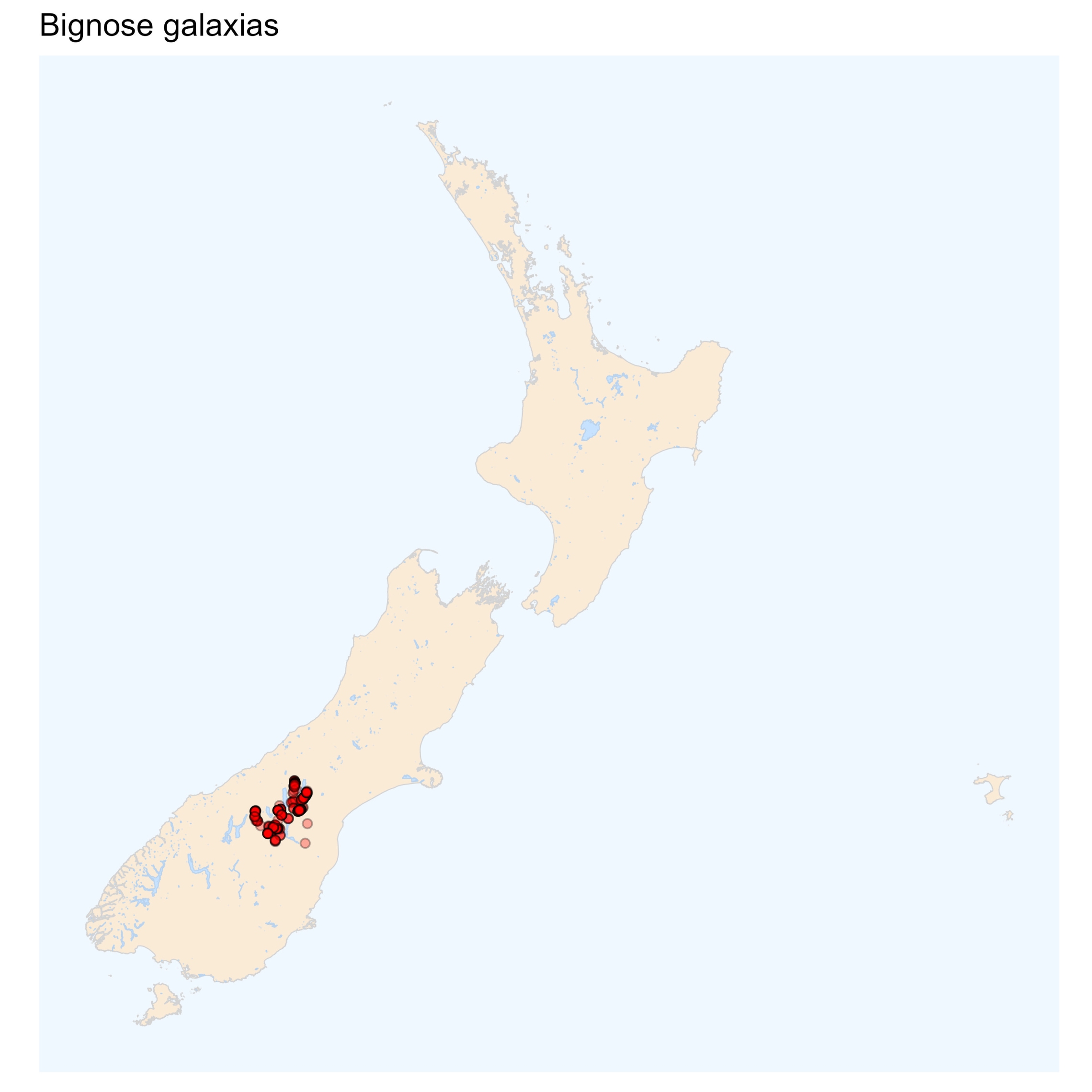 Bignose galaxias - distribution map [2024]