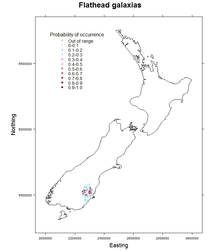 Flathead_Galaxias depressiceps_distribution_predicted