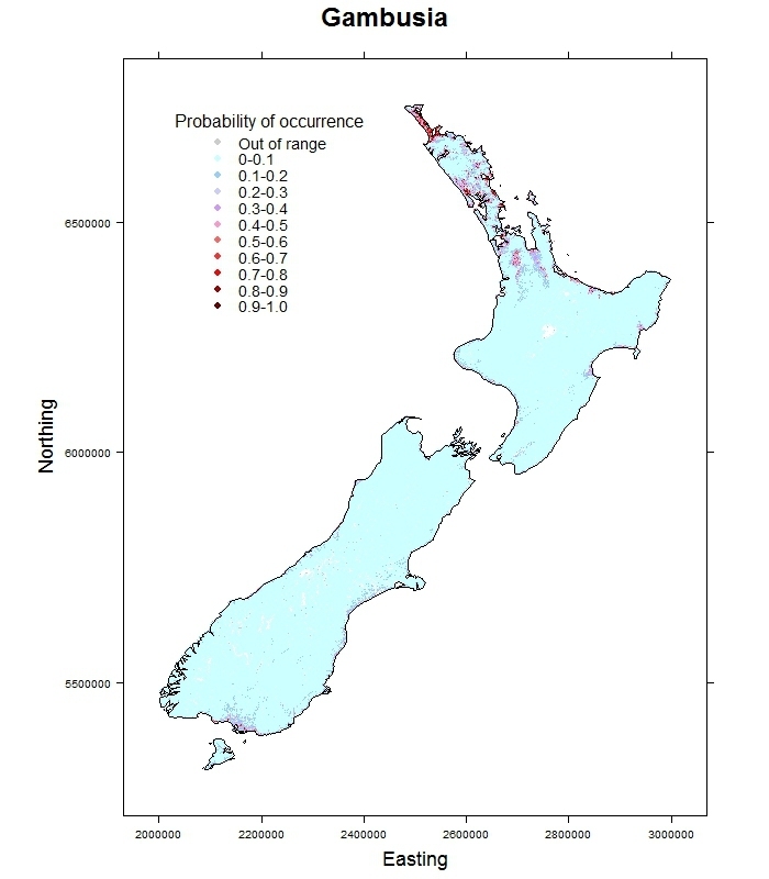 Gambusia affinis_distribution_predicted