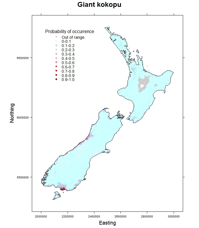 Giant_kokopu-Galaxias argenteus_distribution_predicted