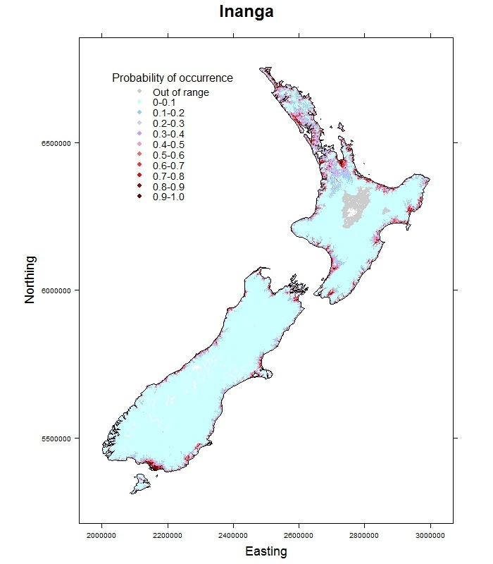 Inanga-Galaxias maculatus_distribution_predicted