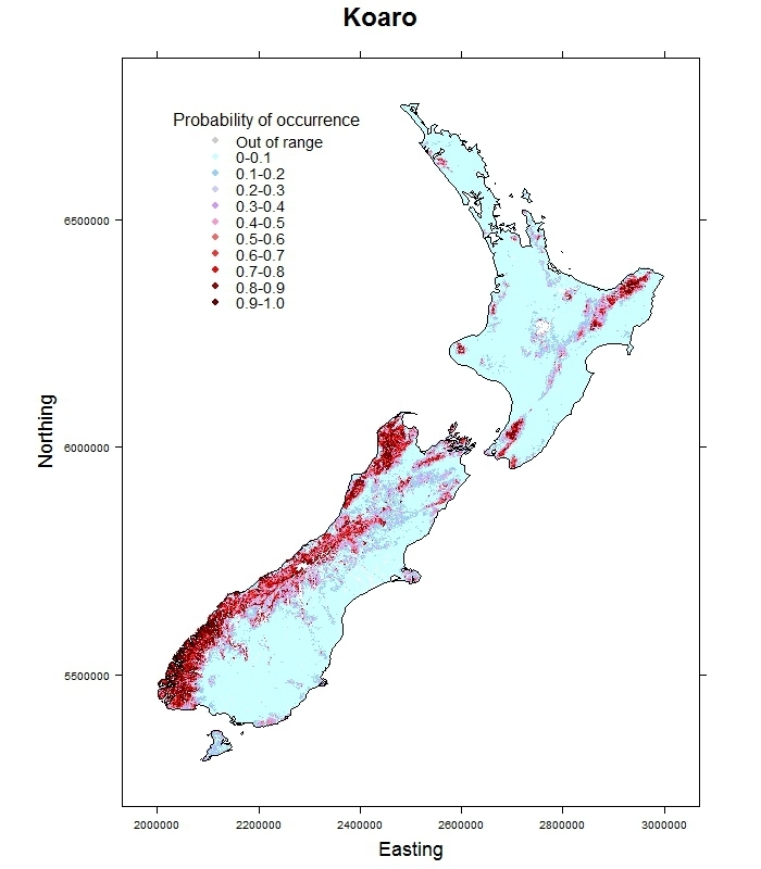 Koaro-Galaxias brevipinnis_distribution_predicted