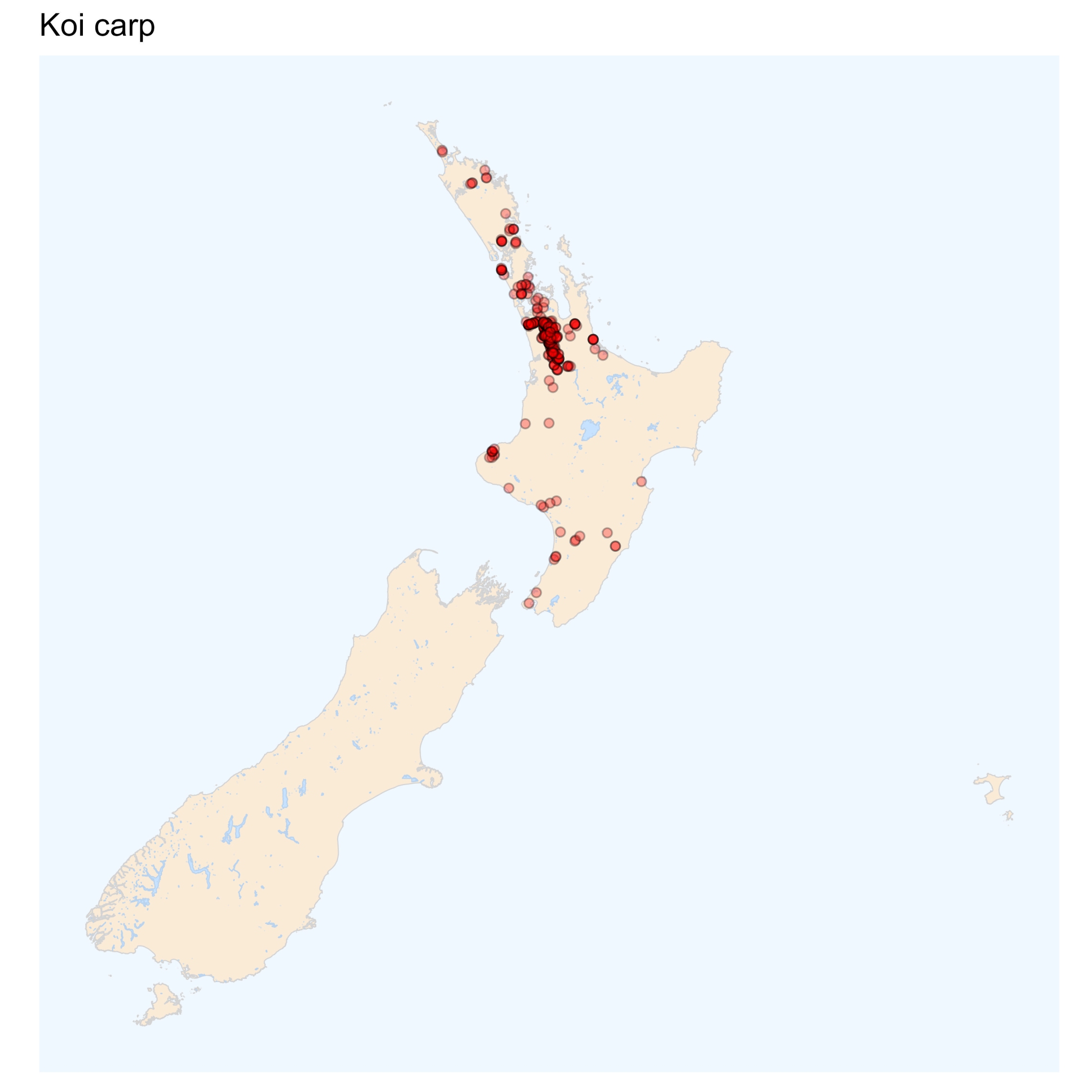 Koi carp distribution map [2024]