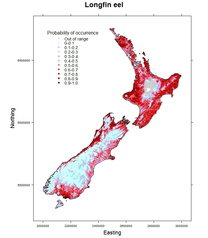 Longfin-eel-Anguilla dieffenbachii_distribution_predicted