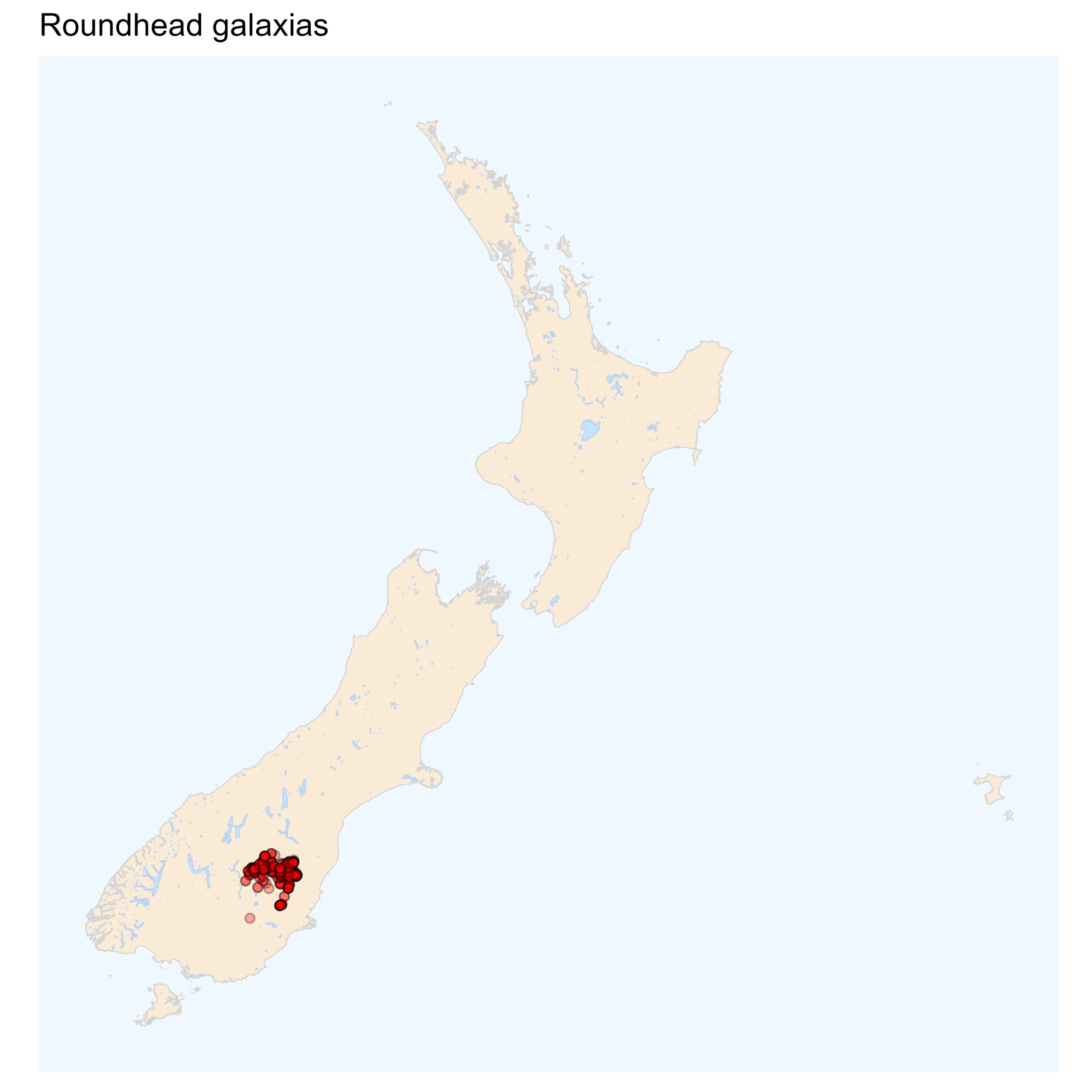 Roundhead galaxias distribution map [2024]