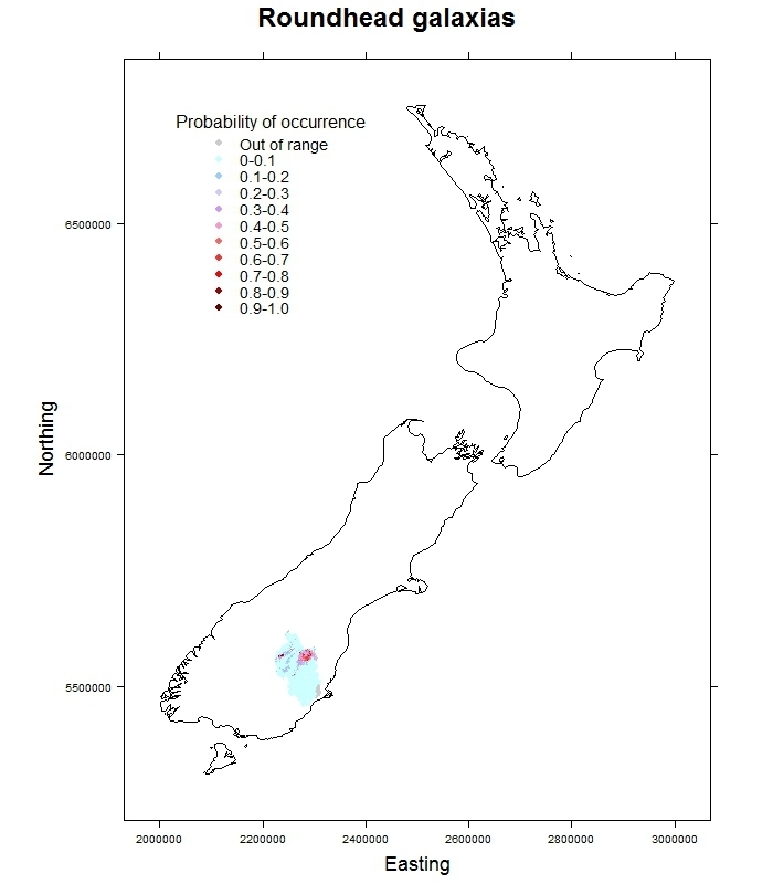 Roundhead_galaxias-Galaxias anomalus_distribution_predicted