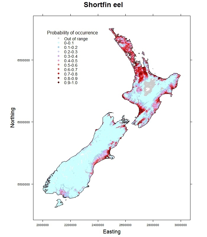 Shortfin-eel-Anguilla australis_distribution_predicted