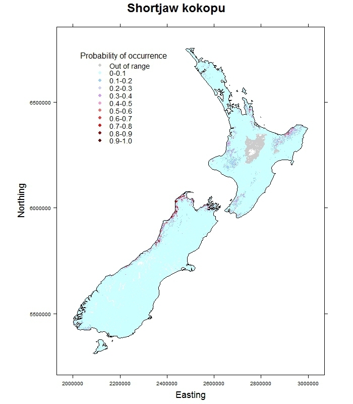 Shortjaw-kokopu-Galaxias postvectis_distribution_predicted