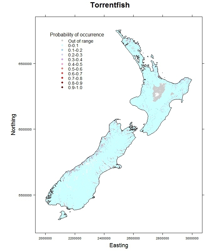 Torrentfish-Cheimarrichthys fosteri_distribution_predicted