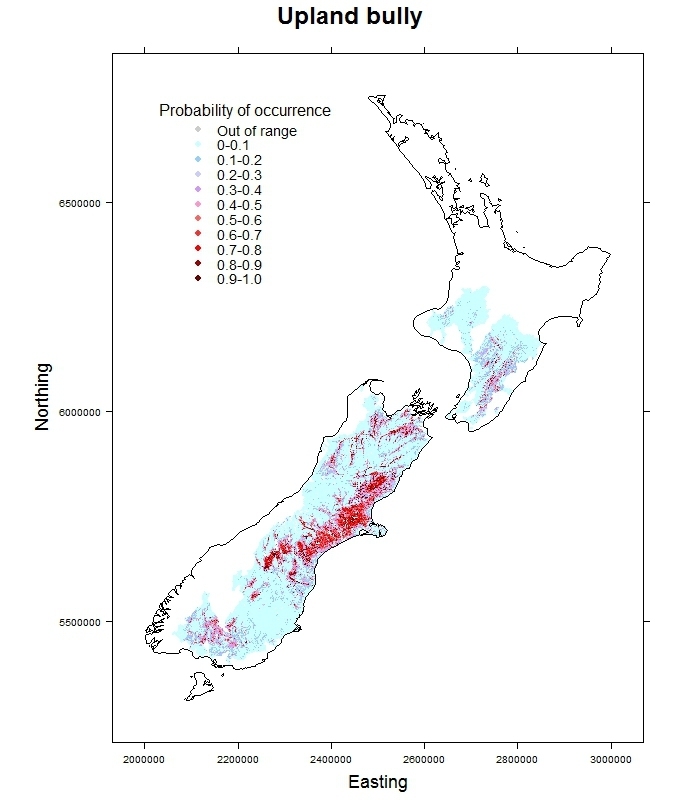 Upland-bully-Gobiomorphus breviceps_distribution_predicted